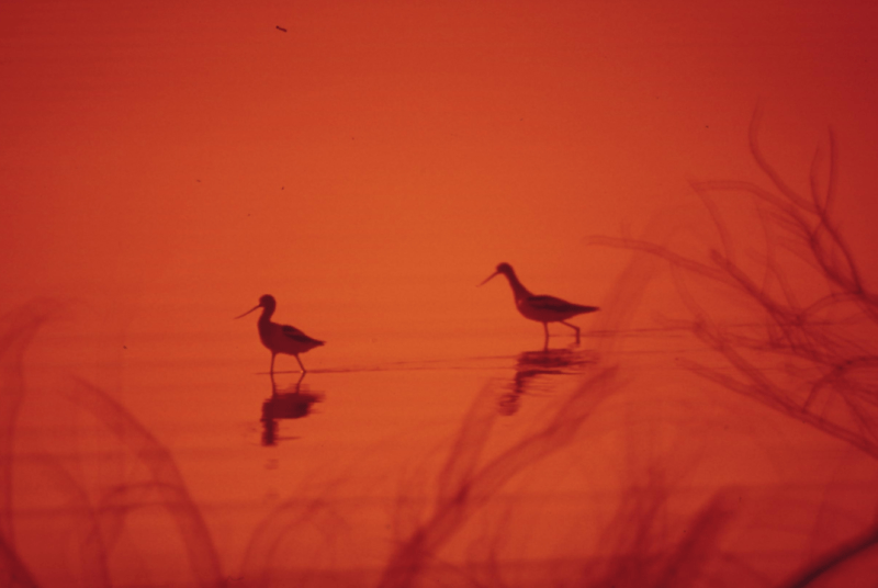 ศิลปะแห่งการเชื่อมต่อ